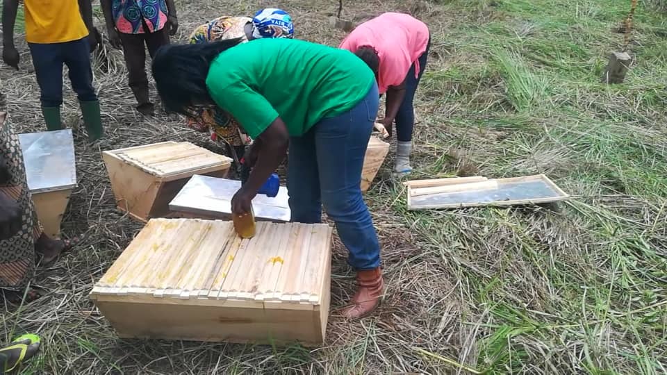 Travail sur le terrain