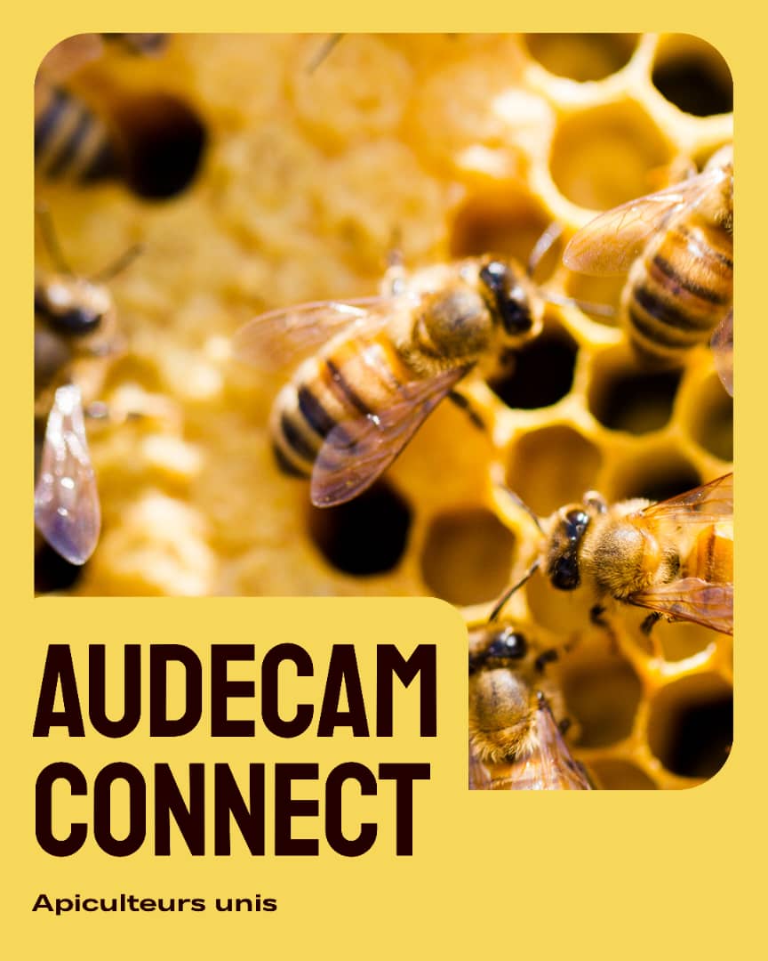 AUDECAM Connect - Apiculteurs unis